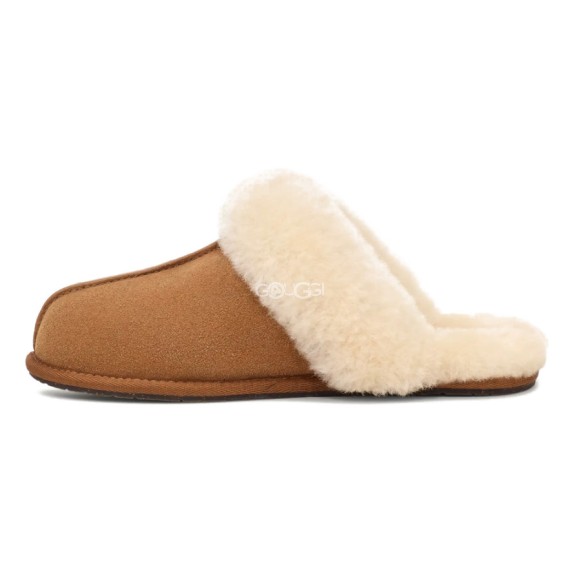 Женские тапочки Slippers Scufette II Chestnut